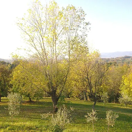 La Giassara *